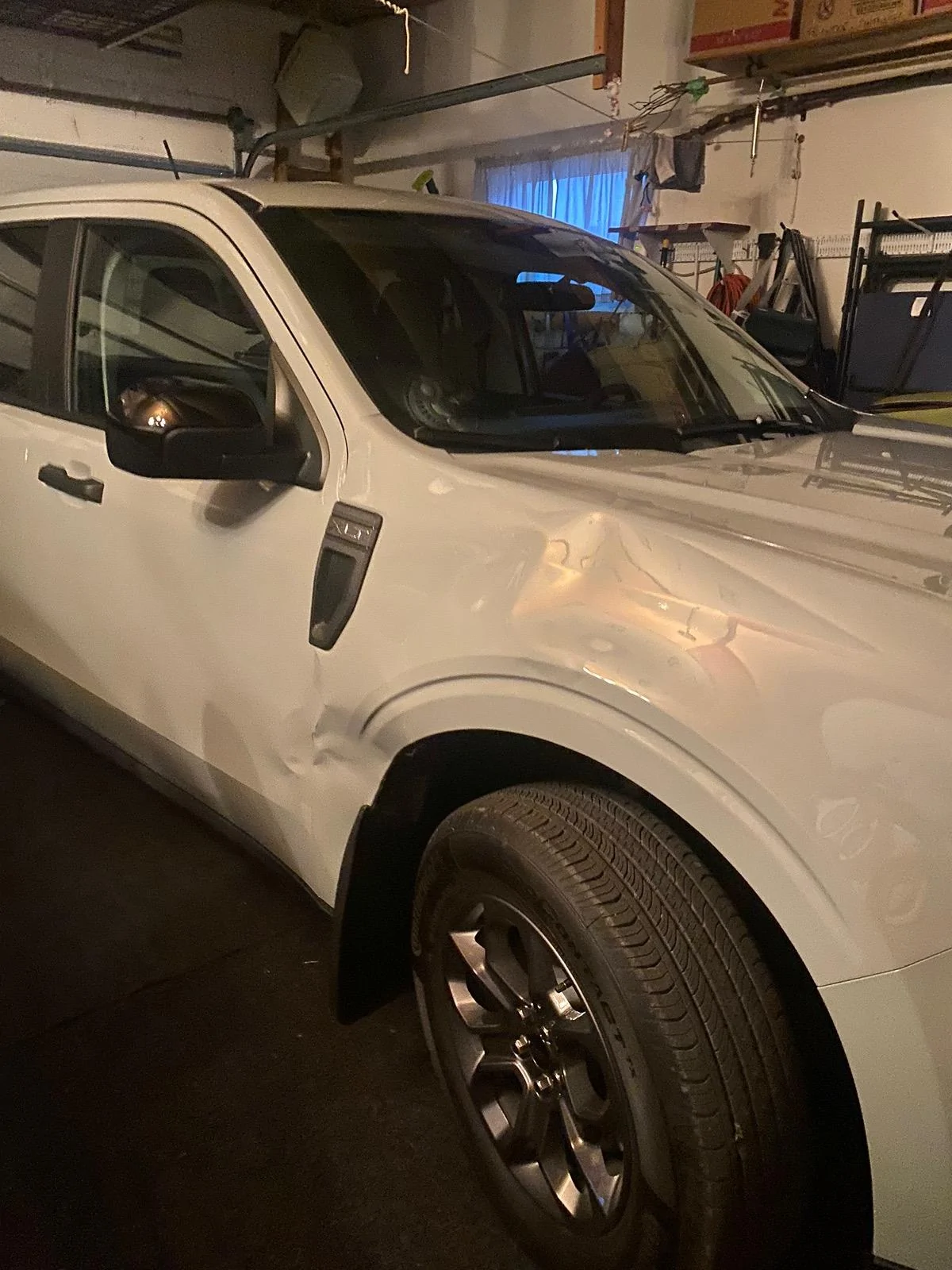 Ford Maverick Oh deer 🦌 IMG_9787