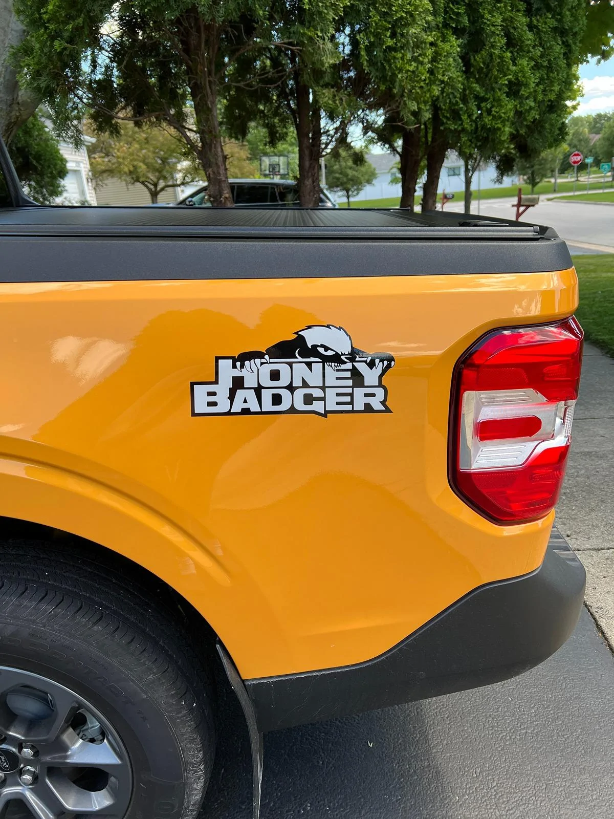 Honey Badger.jpeg