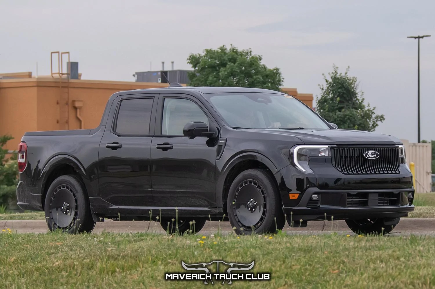 lobo-maverick-st-refresh-black-3.jpg