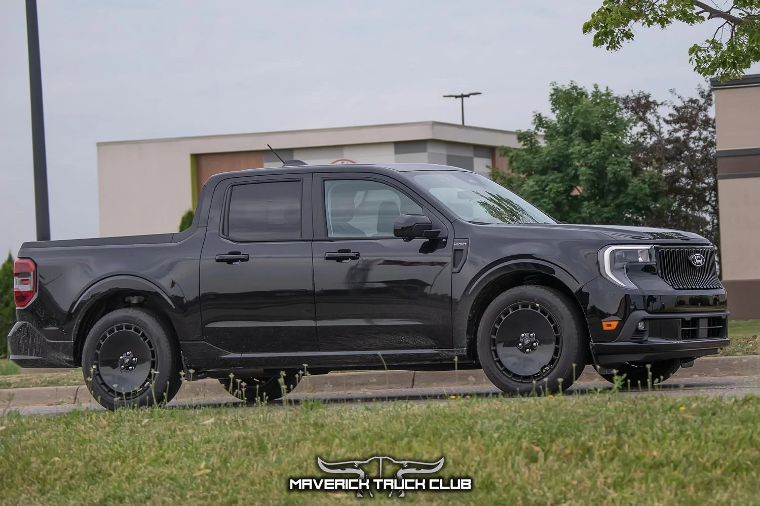 lobo-maverick-st-refresh-black-7.jpg