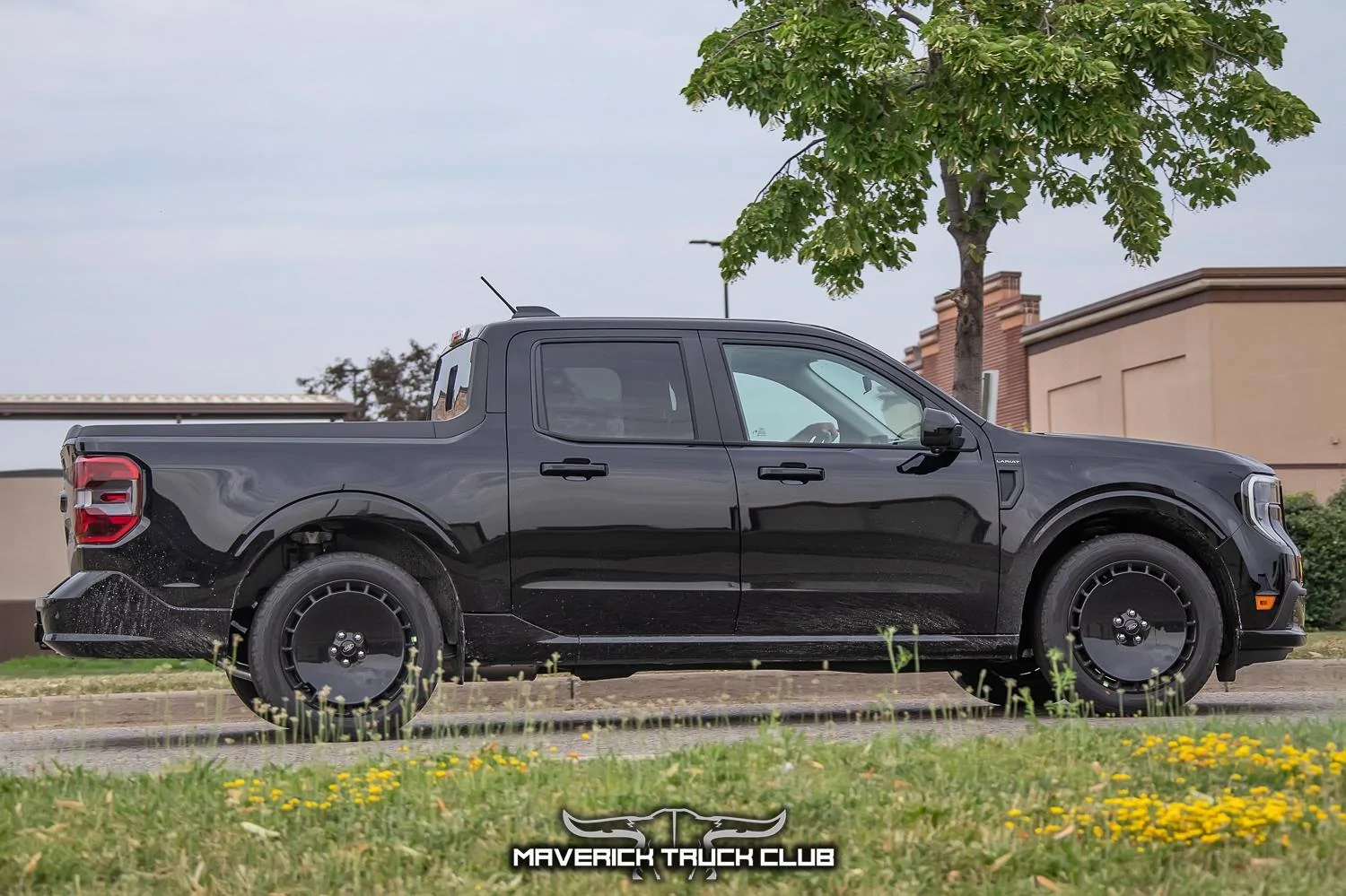 lobo-maverick-st-refresh-black-10.jpg