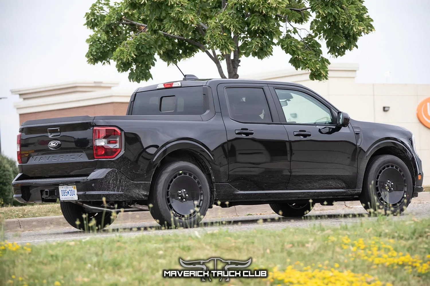 lobo-maverick-st-refresh-black-11.jpg