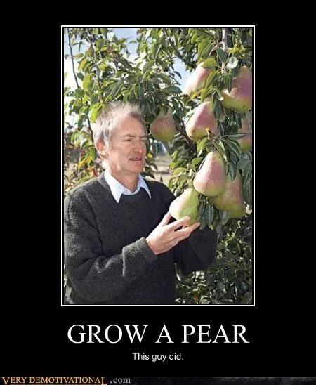 Ford Maverick To recall or not to recall? grow-a-pear