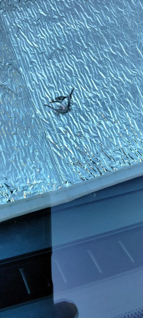 Ford Maverick Hood deflector recommendations? IMG20240706070433