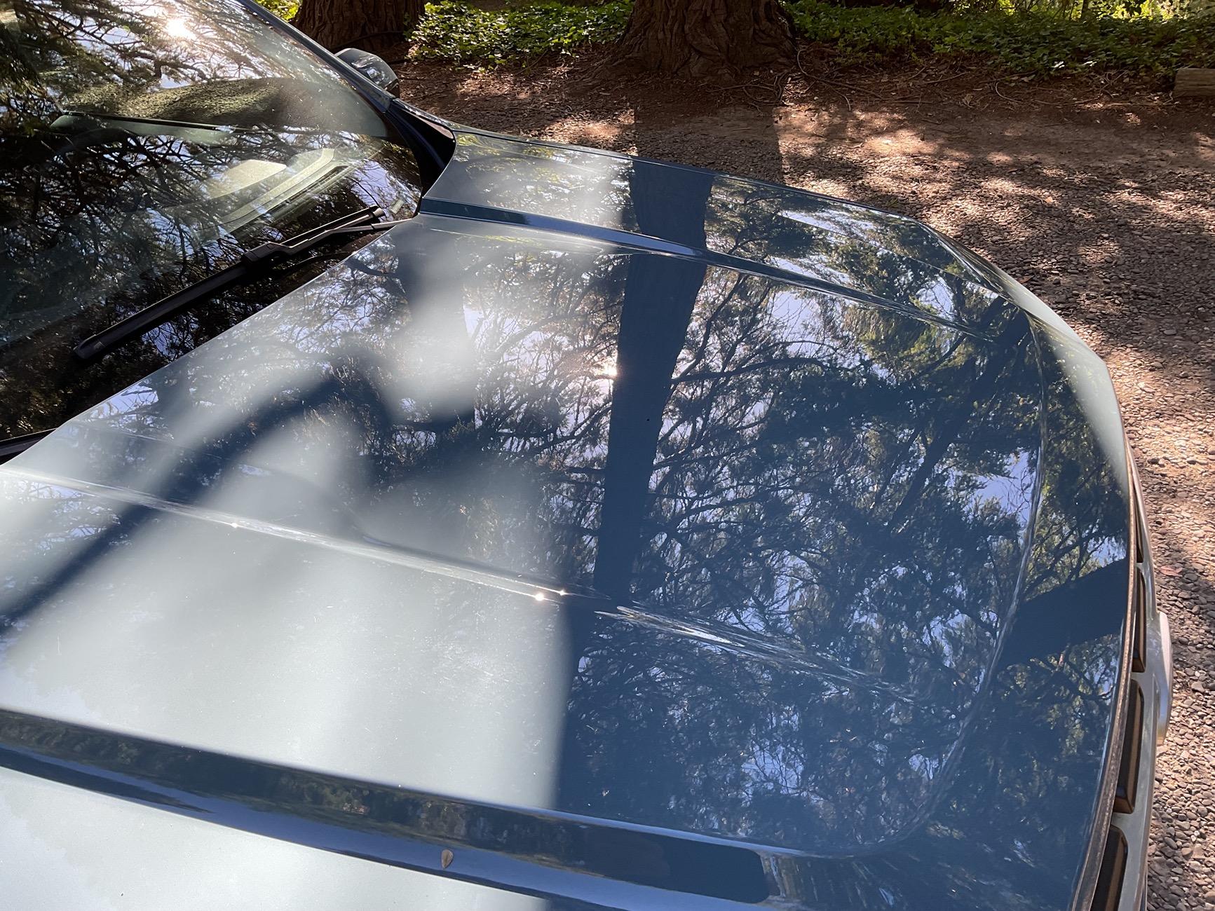 Ford Maverick Paint protection - what are you using? IMG_0445