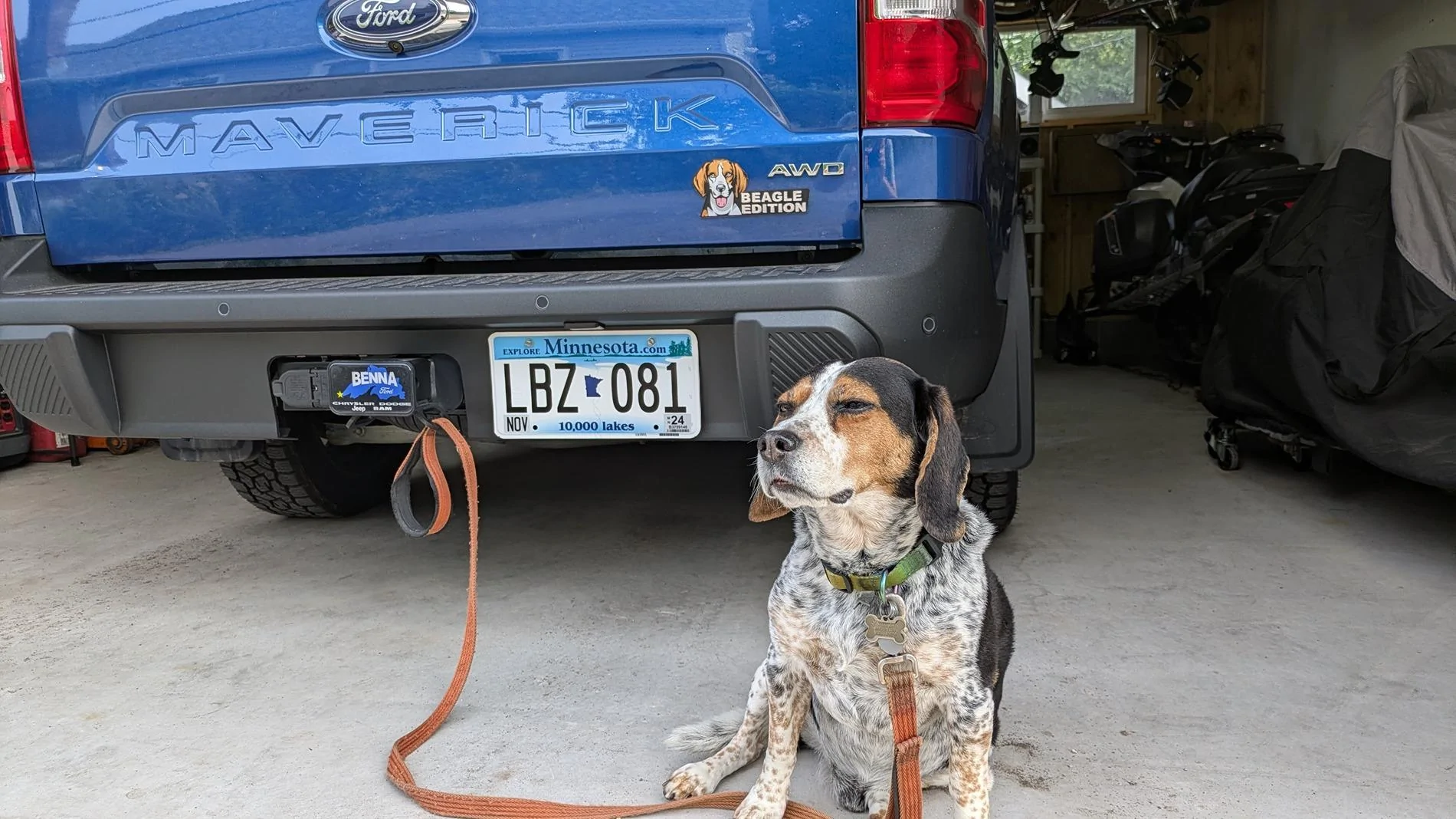 Ford Maverick Pets! PXL_20240723_224156121.MP