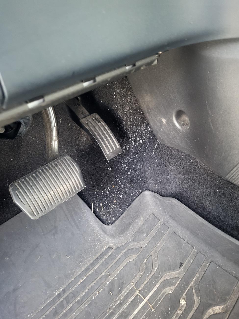 Ford Maverick Water leak on Drivers side 20240801_165000