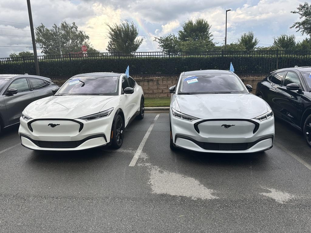 Ford Maverick Can we trust them?  3 new colors. E45900EF-2E83-4234-B0A4-1A49DD462F27_1_105_c