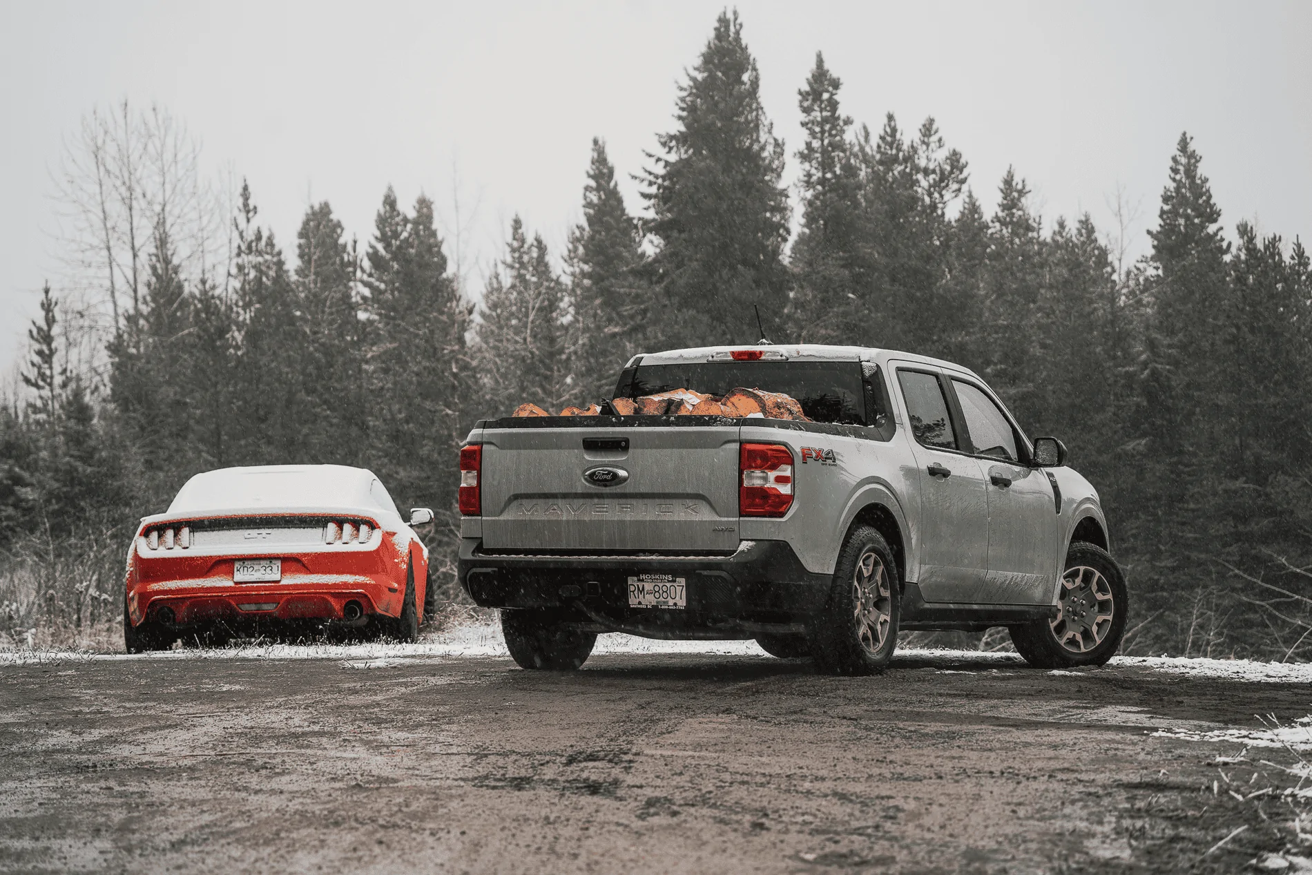 Ford Maverick What's your Maverick hauling in the bed? [Photos Edition] ln86svrk3nz71