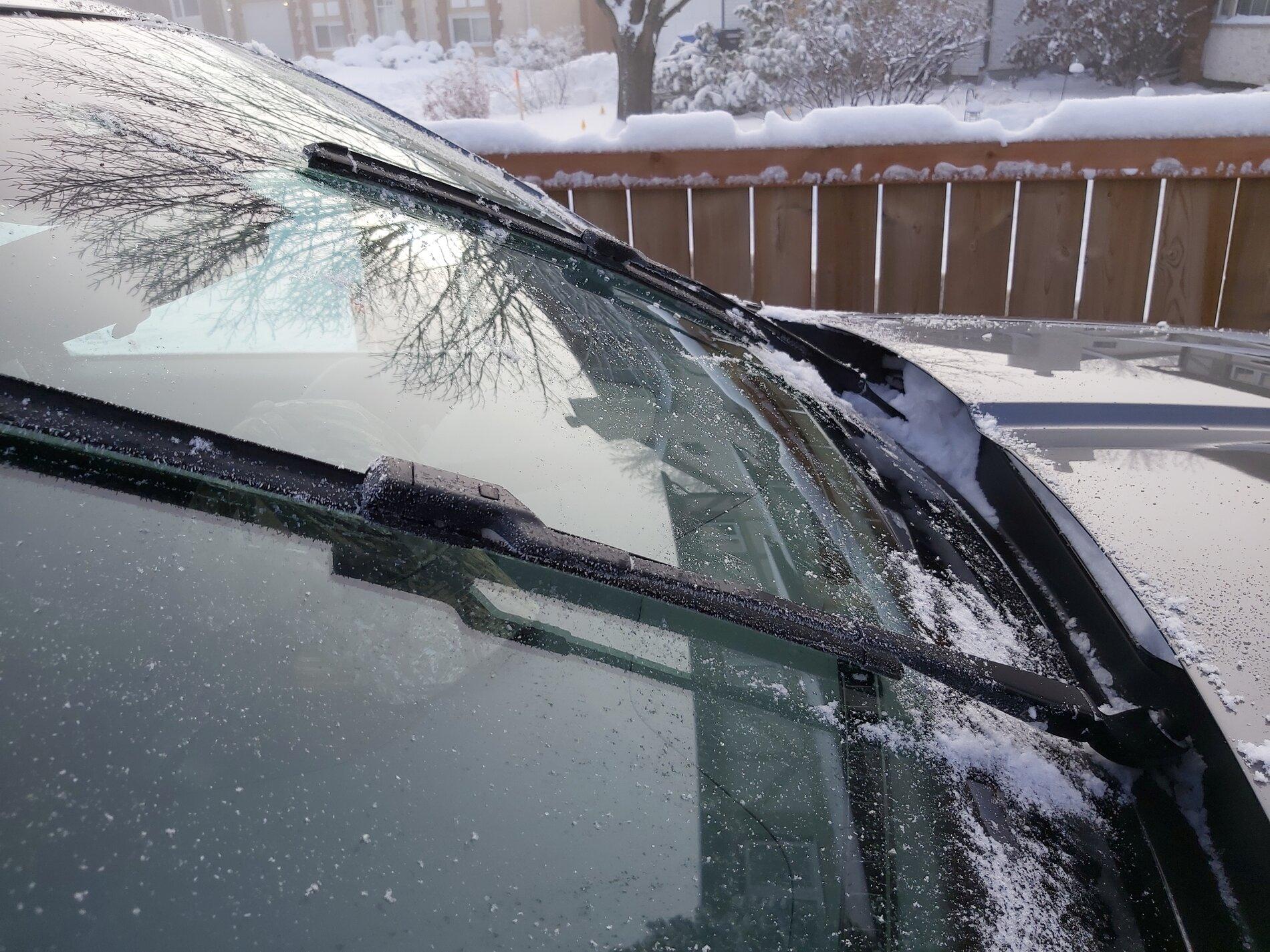 Ford Maverick Winter suitability 20211114_101635