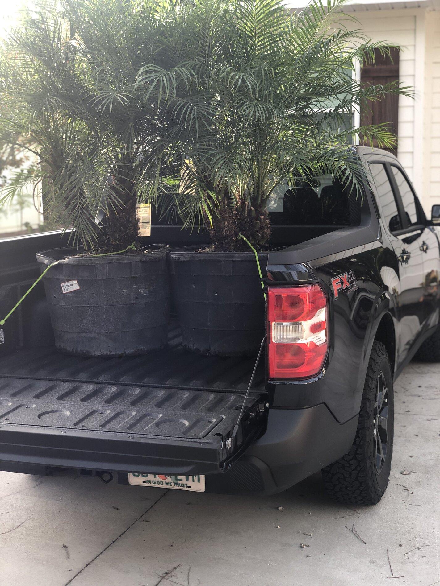 Ford Maverick What's your Maverick hauling in the bed? [Photos Edition] 4C435231-BC6A-406F-9C28-0DFCFE463816