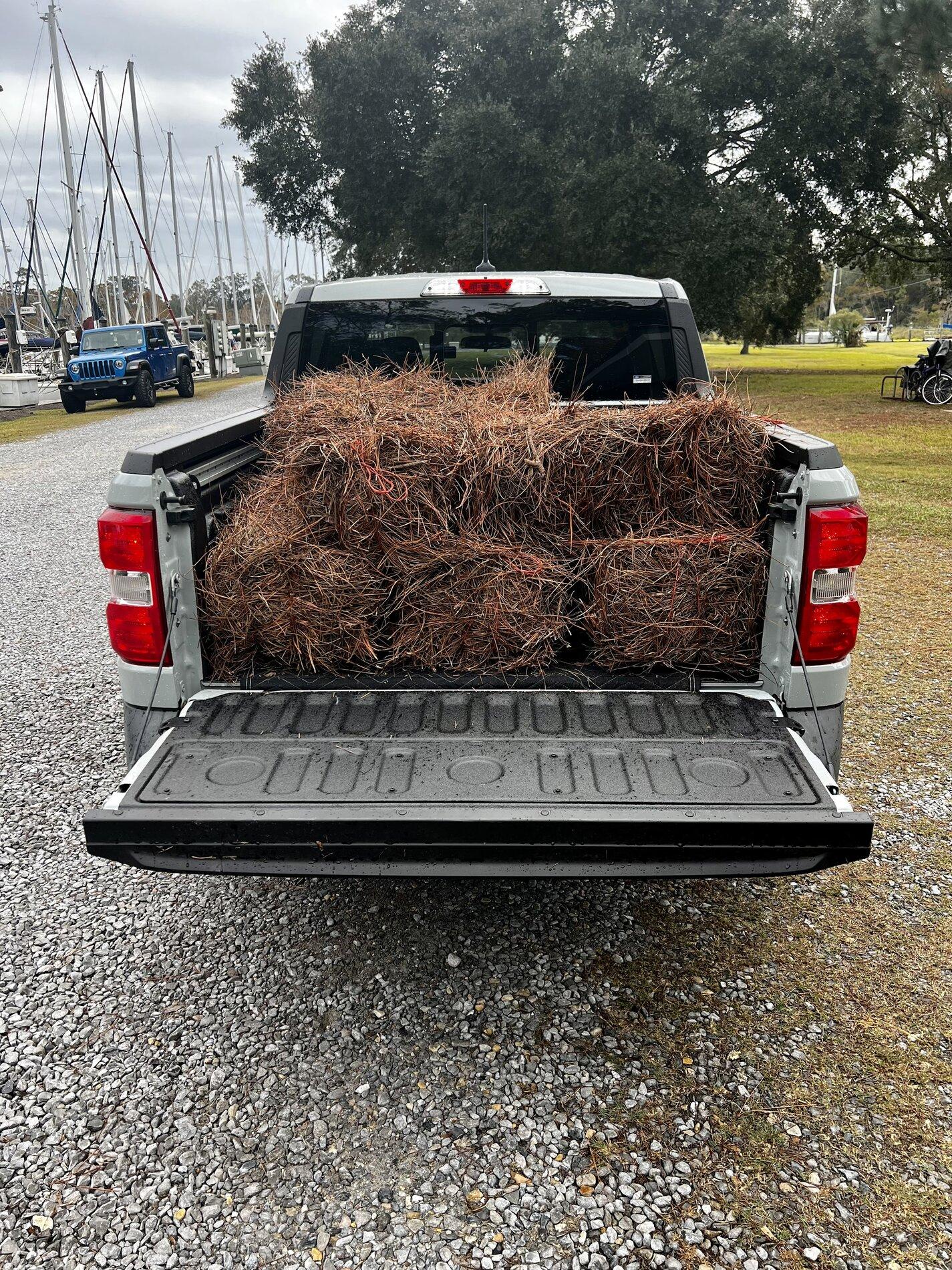 Ford Maverick What's your Maverick hauling in the bed? [Photos Edition] 01FBFBBE-251C-4DB8-B6DD-3DD3EEED5384