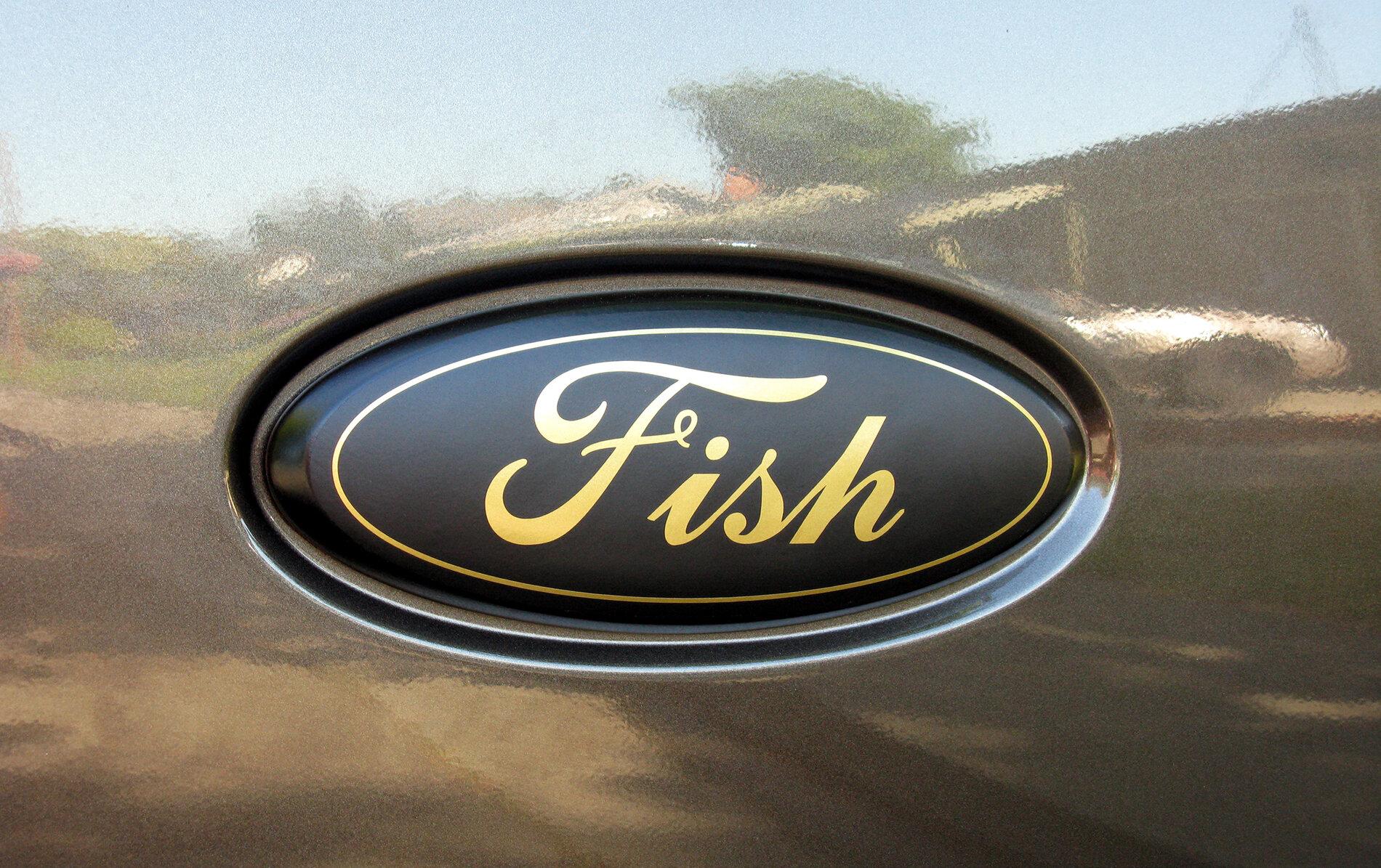 Ford Maverick What color hides road dirt and dust the best? flat black fish oval m