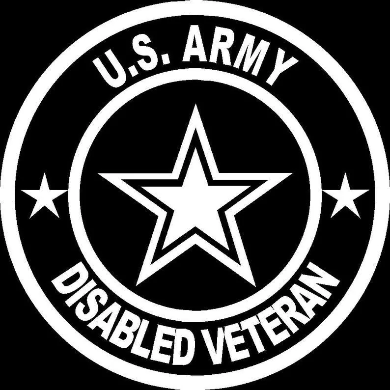 Ford Maverick U.S. Army Themed Decals IMG_5006