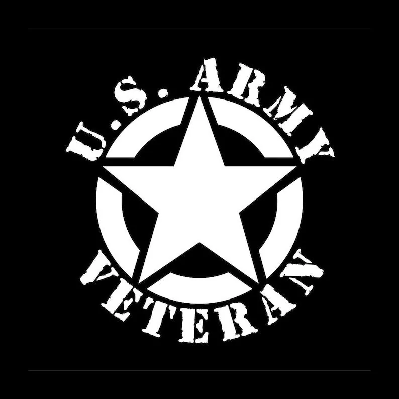 Ford Maverick U.S. Army Themed Decals IMG_5142