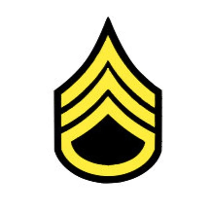 Ford Maverick U.S. Army Themed Decals IMG_5025