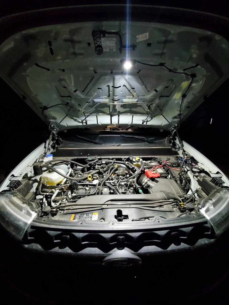 Ford Maverick My DIY engine bay / underhood lighting 20231022_193323