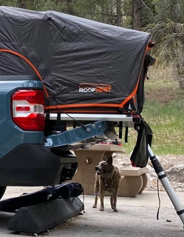 Ford Maverick Camping with the Roofnest Meadowlark 20240817_075007