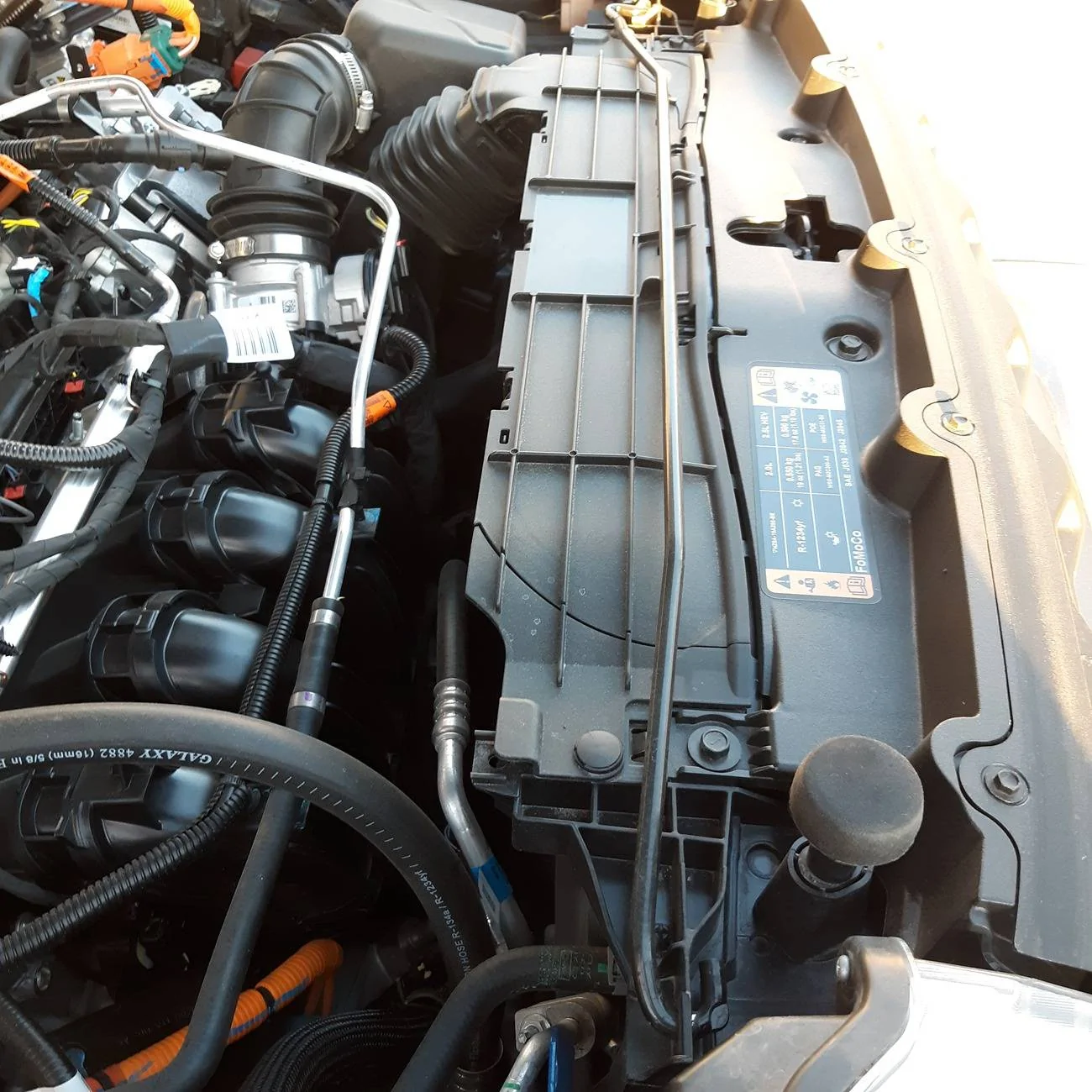 Ford Maverick Factory hood prop removal? 20240820_063059