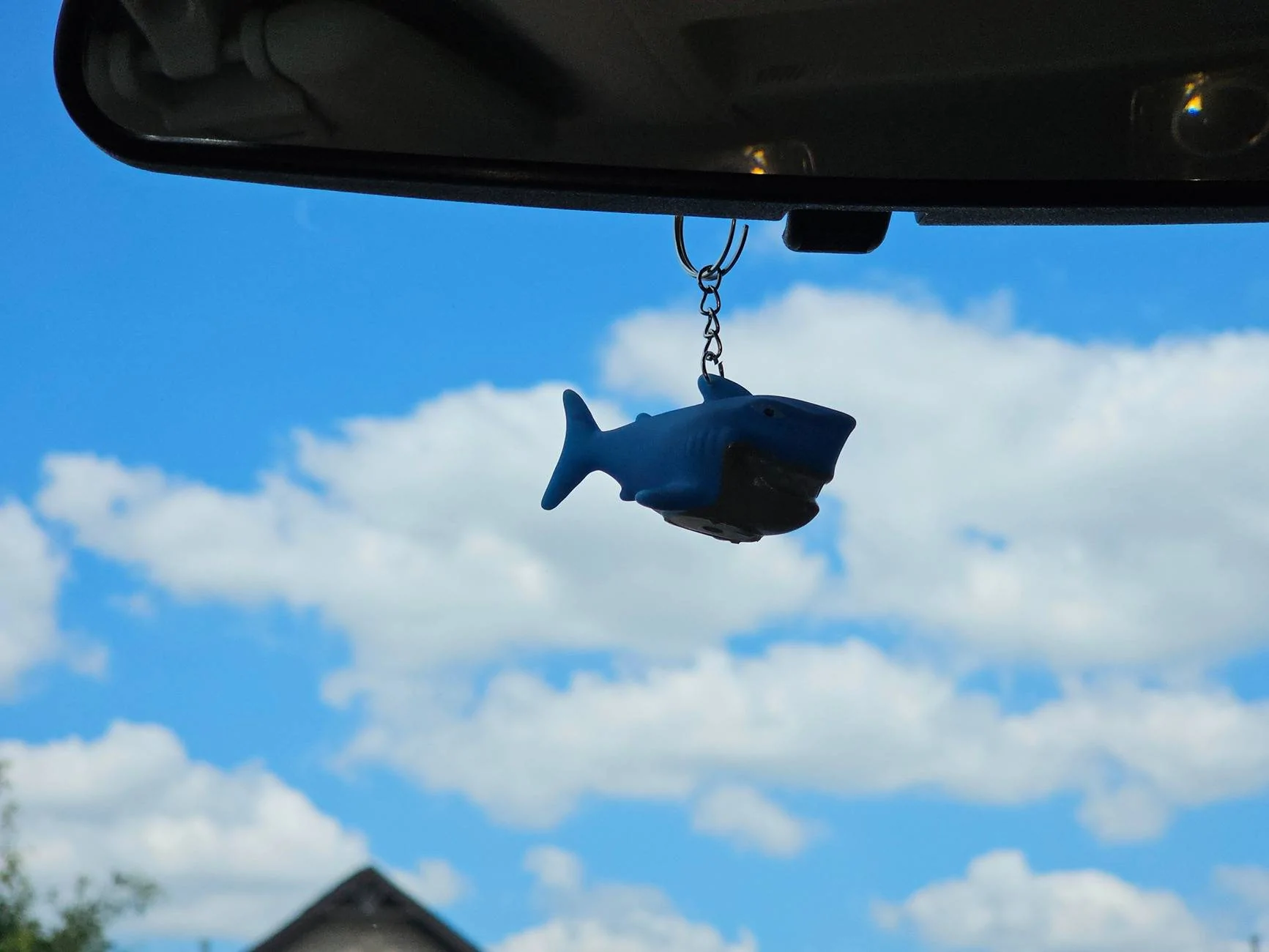 Ford Maverick A Little Shark for Bruce 20240826_121919