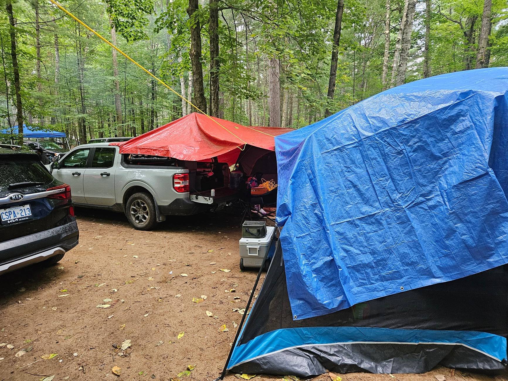 20240901_123306.jpg