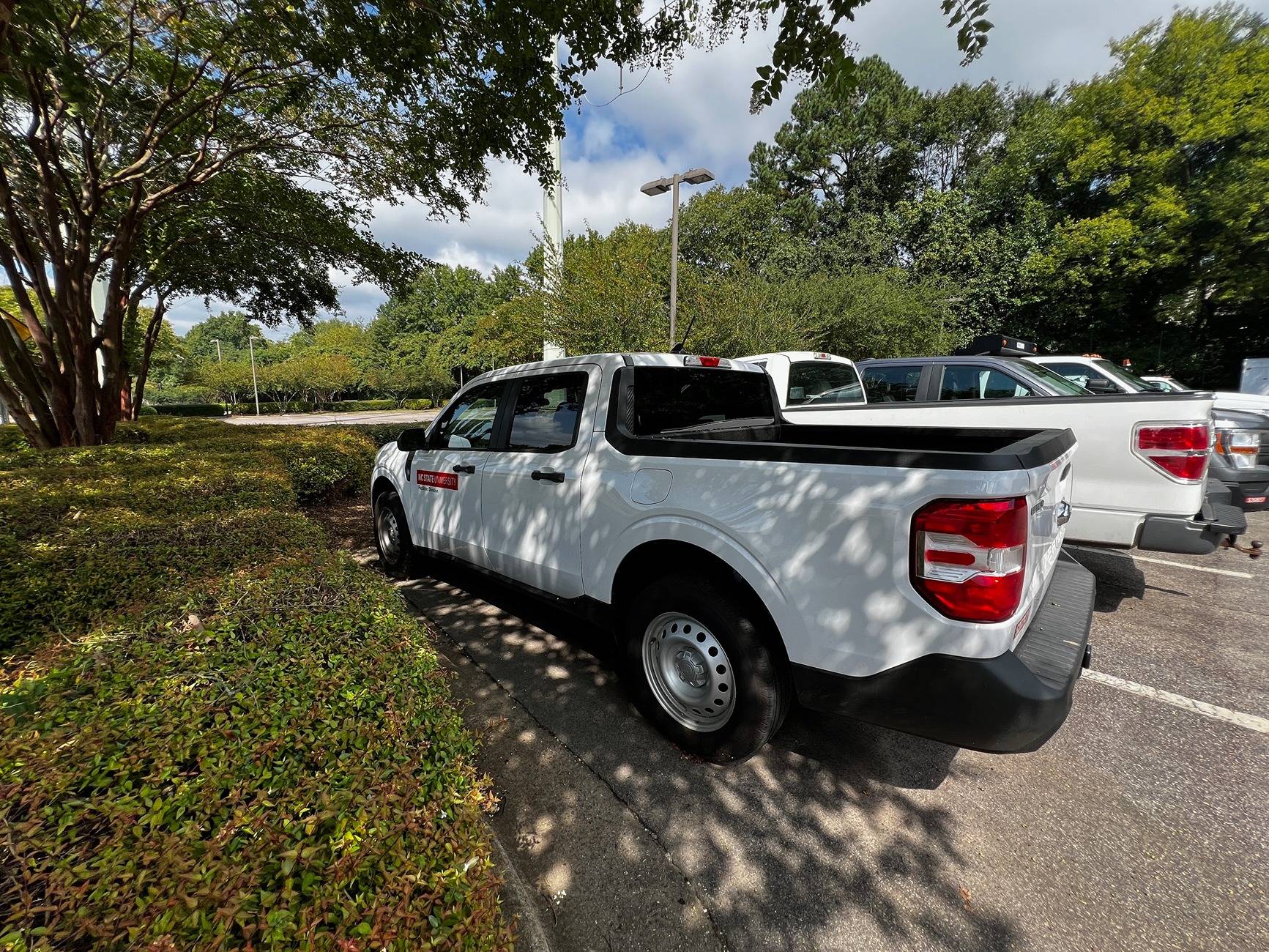 Ford Maverick Mavericks in the wild working hard! IMG_2125.JPG