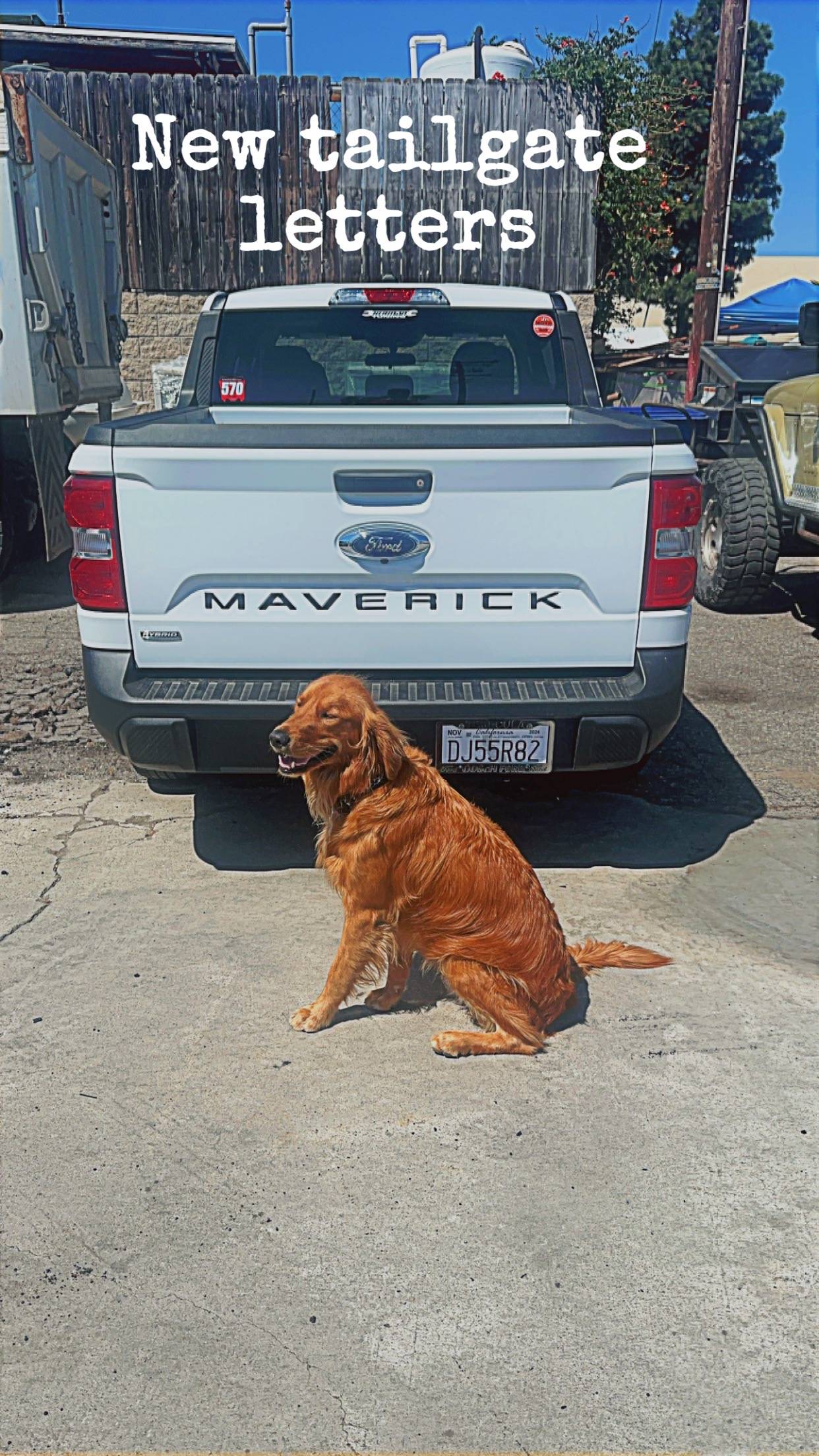 Ford Maverick Tailgate emblems IMG_5607