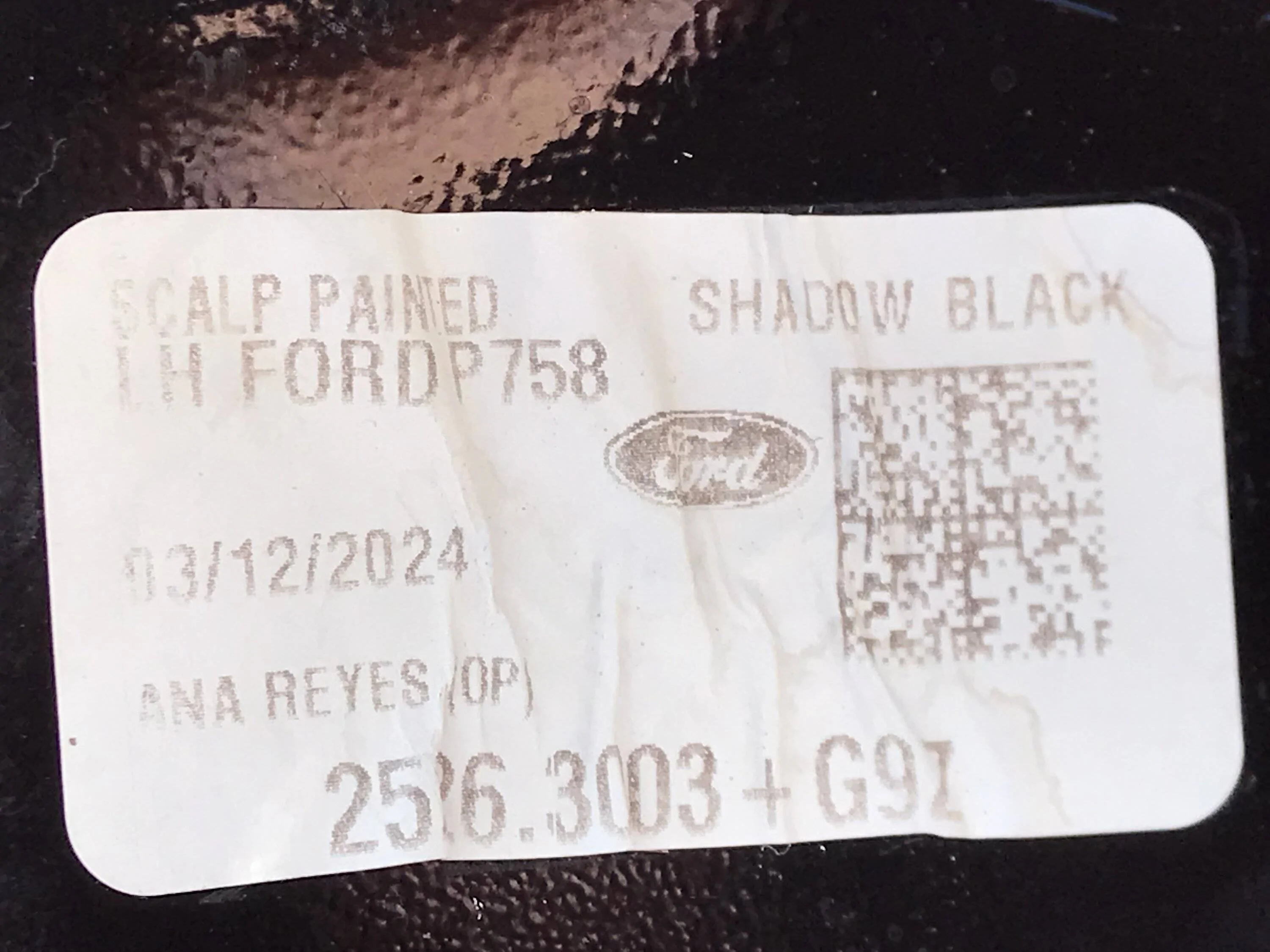Ford Maverick Shadow Black mirror skull caps… IMG_3888