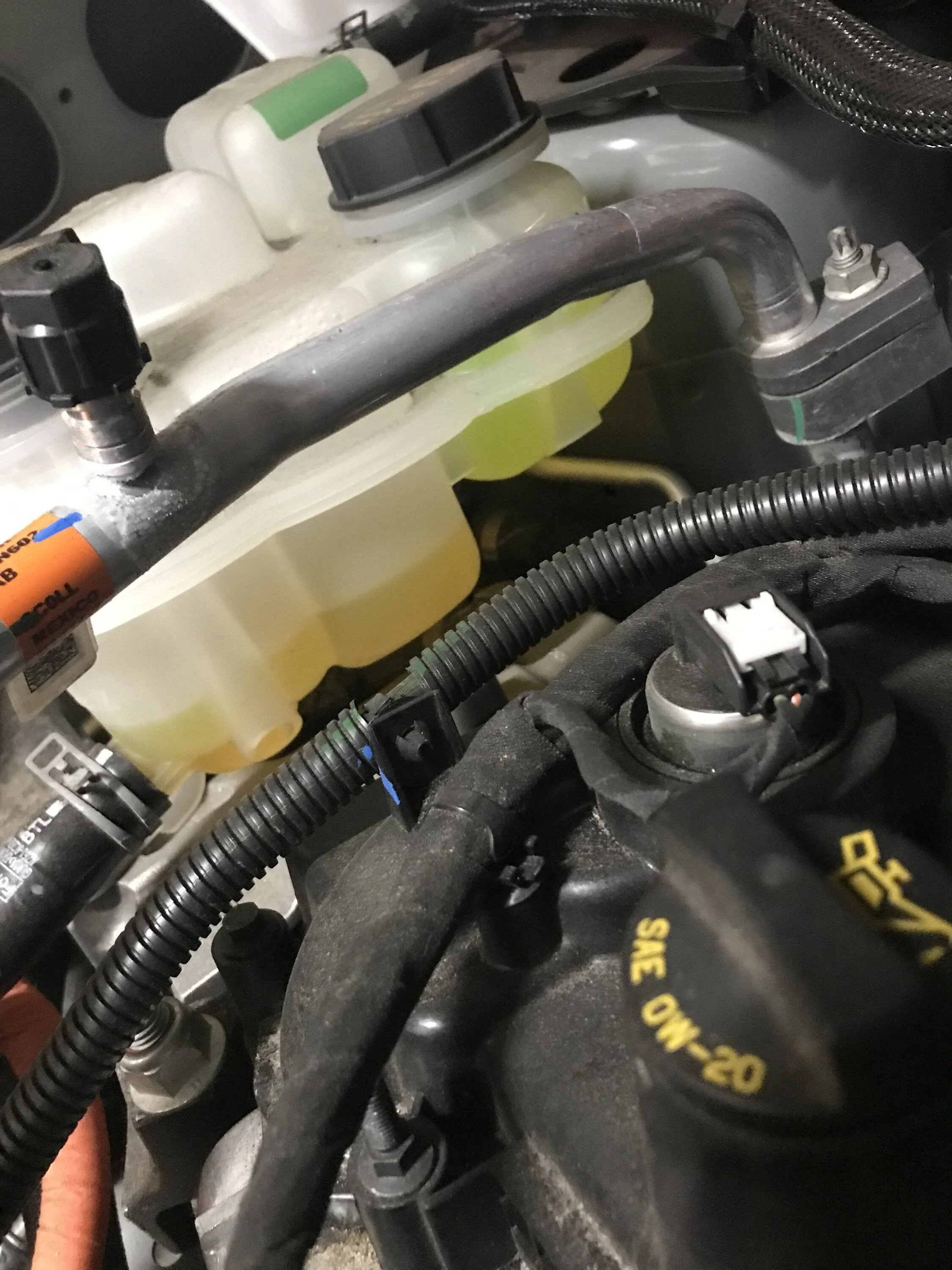 Ford Maverick 2022 Hybrid - First time topping off coolant but different color? IMG_7730