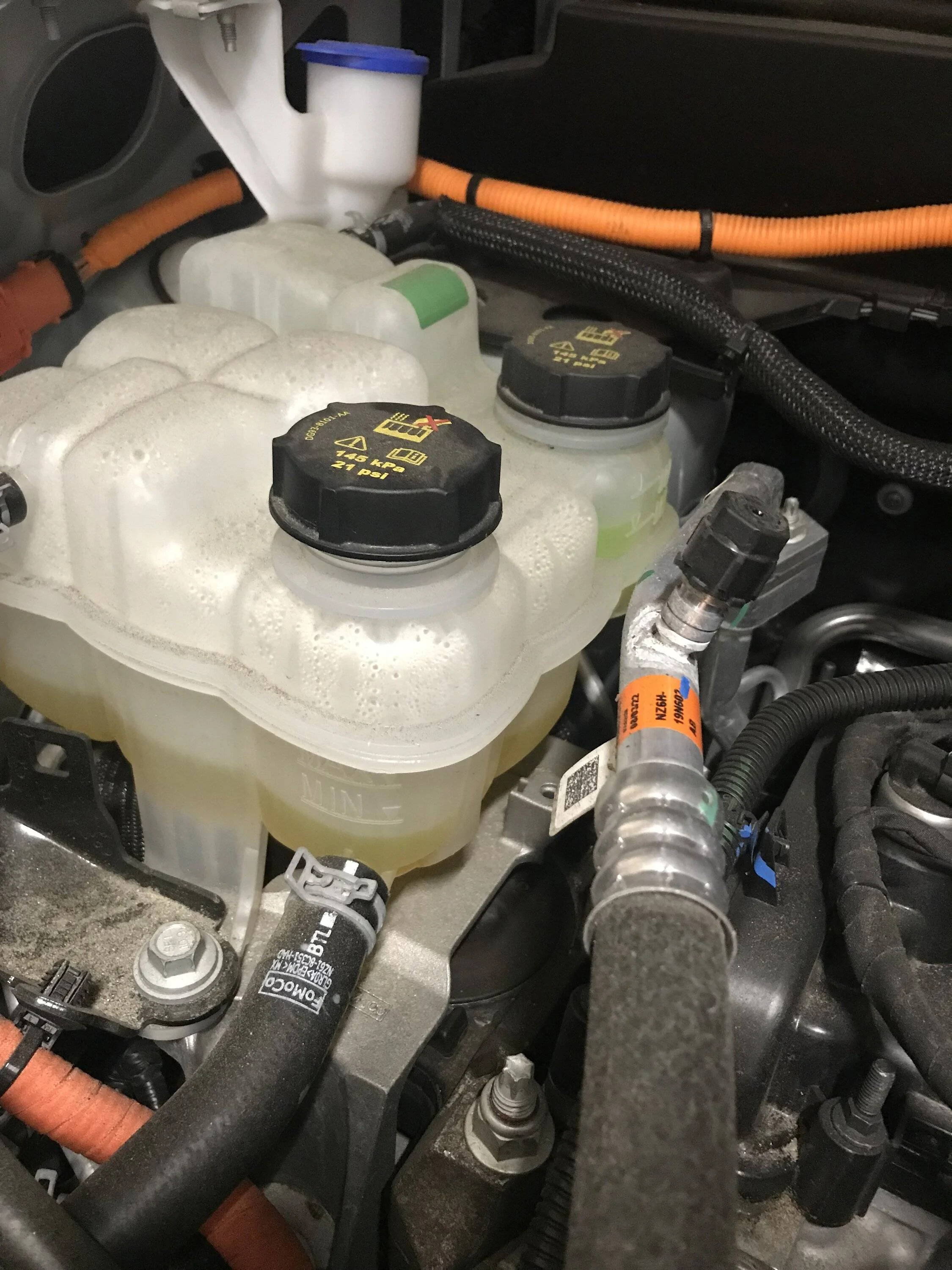 Ford Maverick 2022 Hybrid - First time topping off coolant but different color? IMG_7729