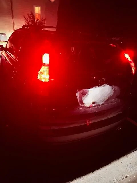 Ford Maverick Why Are the Upgraded Lights Dimmer? | Lasfit Reveals 54967?tmpCode=c37c83a0-c784-4e89-b7ea-dc2cf879d2c5