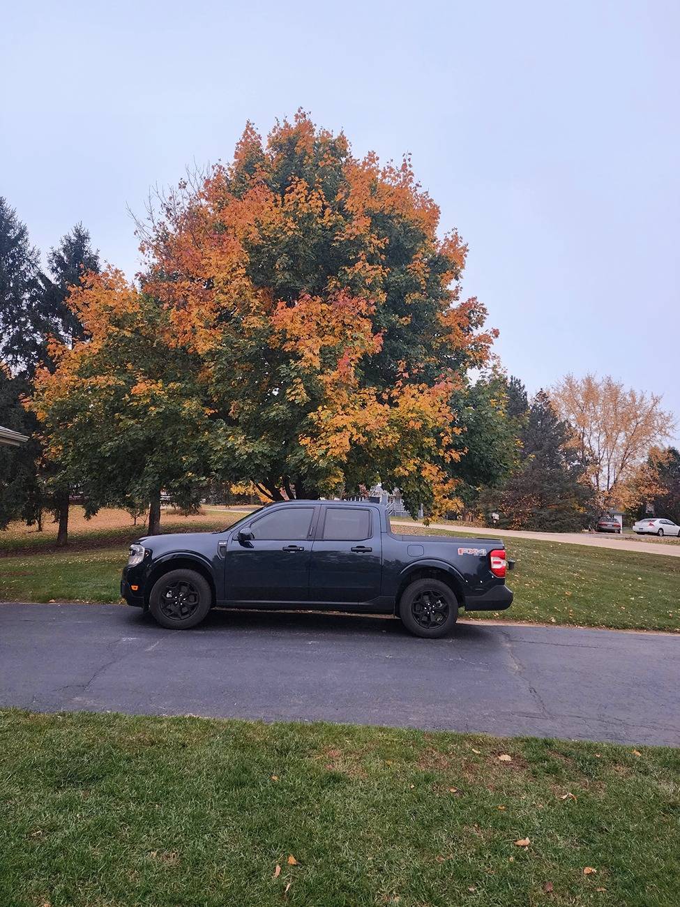 Ford Maverick 20k miles.. 1 1/2 years and multiple seasons 20231029_175611~2