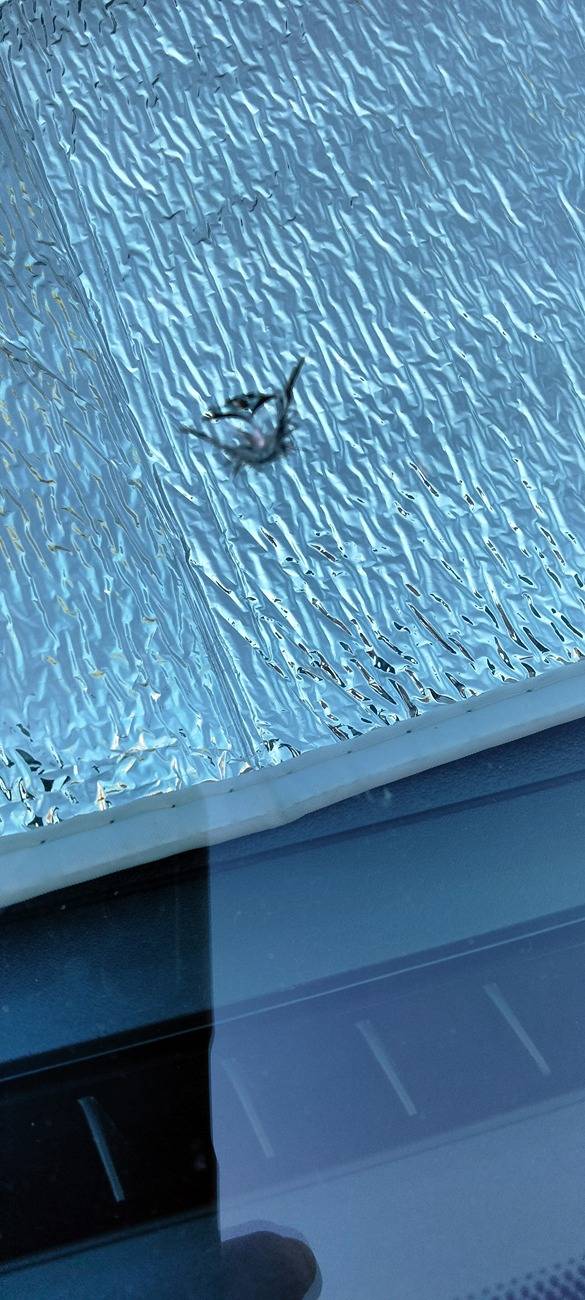 Ford Maverick The amount of cracked windshields is absurd. IMG20240706070433