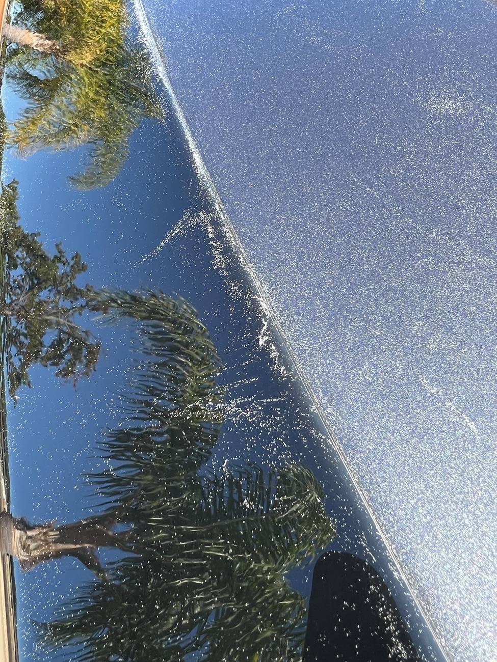Ford Maverick Vehicle Car Cover recommendations? IMG_0317