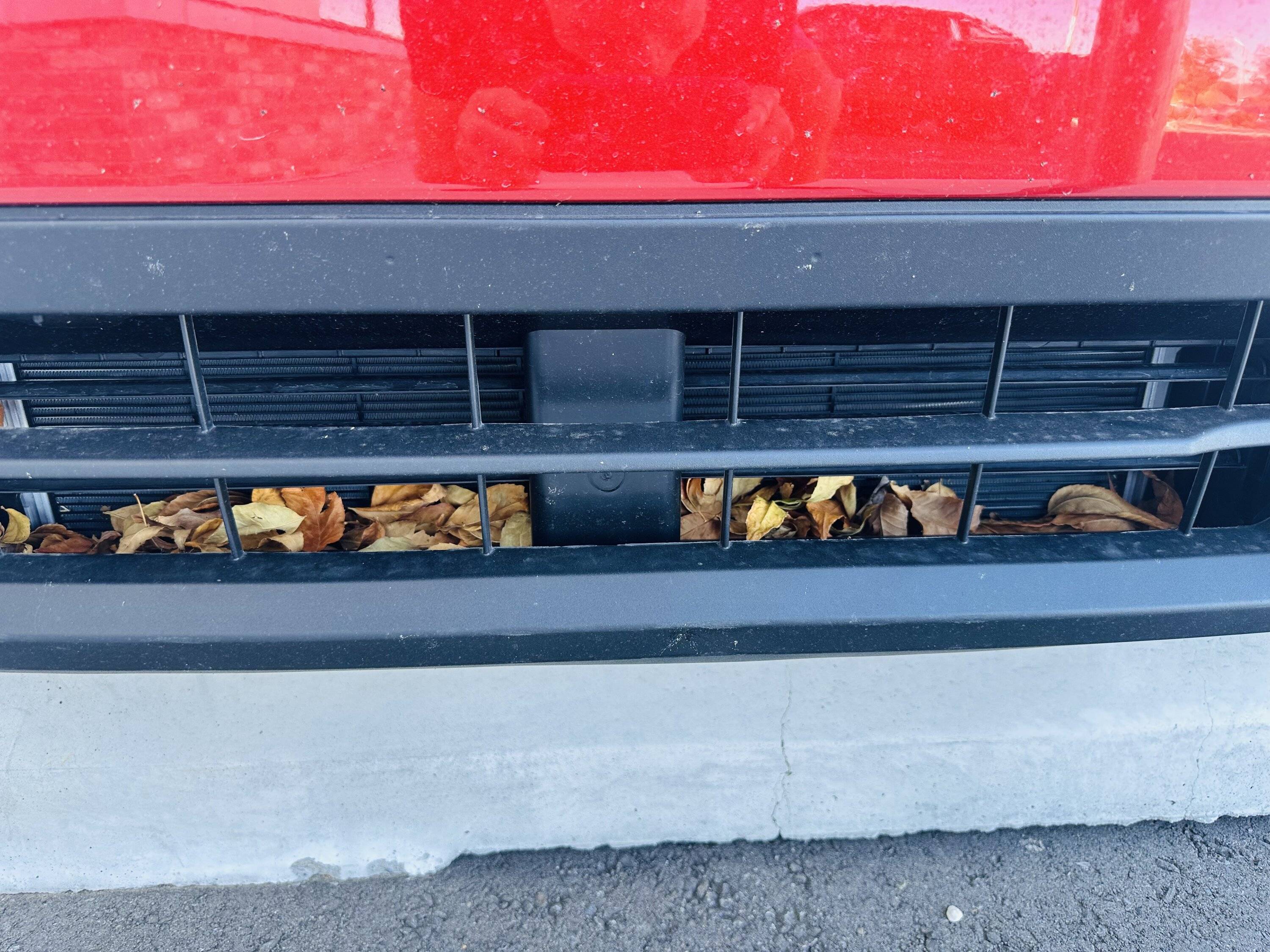 Ford Maverick Leaf Collector IMG_5565