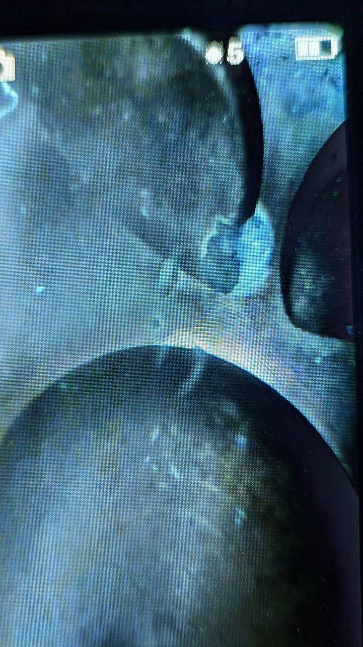 Ford Maverick 2.0 engine blew up. Now what PXL_20241018_053853393.PORTRAIT.ORIGINAL