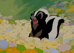 Ford Maverick Maverick Memes -  fun diversion while we wait [ ** NO POLITICS ** ] bambi-skunk