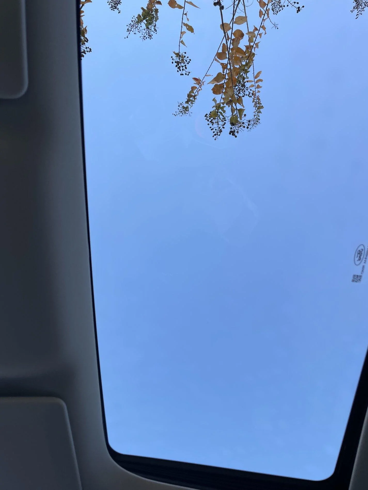 Ford Maverick Anyone order sunroof? Worth it? imag