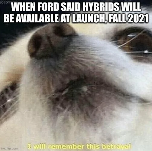 Ford Maverick Maverick Memes -  fun diversion while we wait [ ** NO POLITICS ** ] 5vfb91