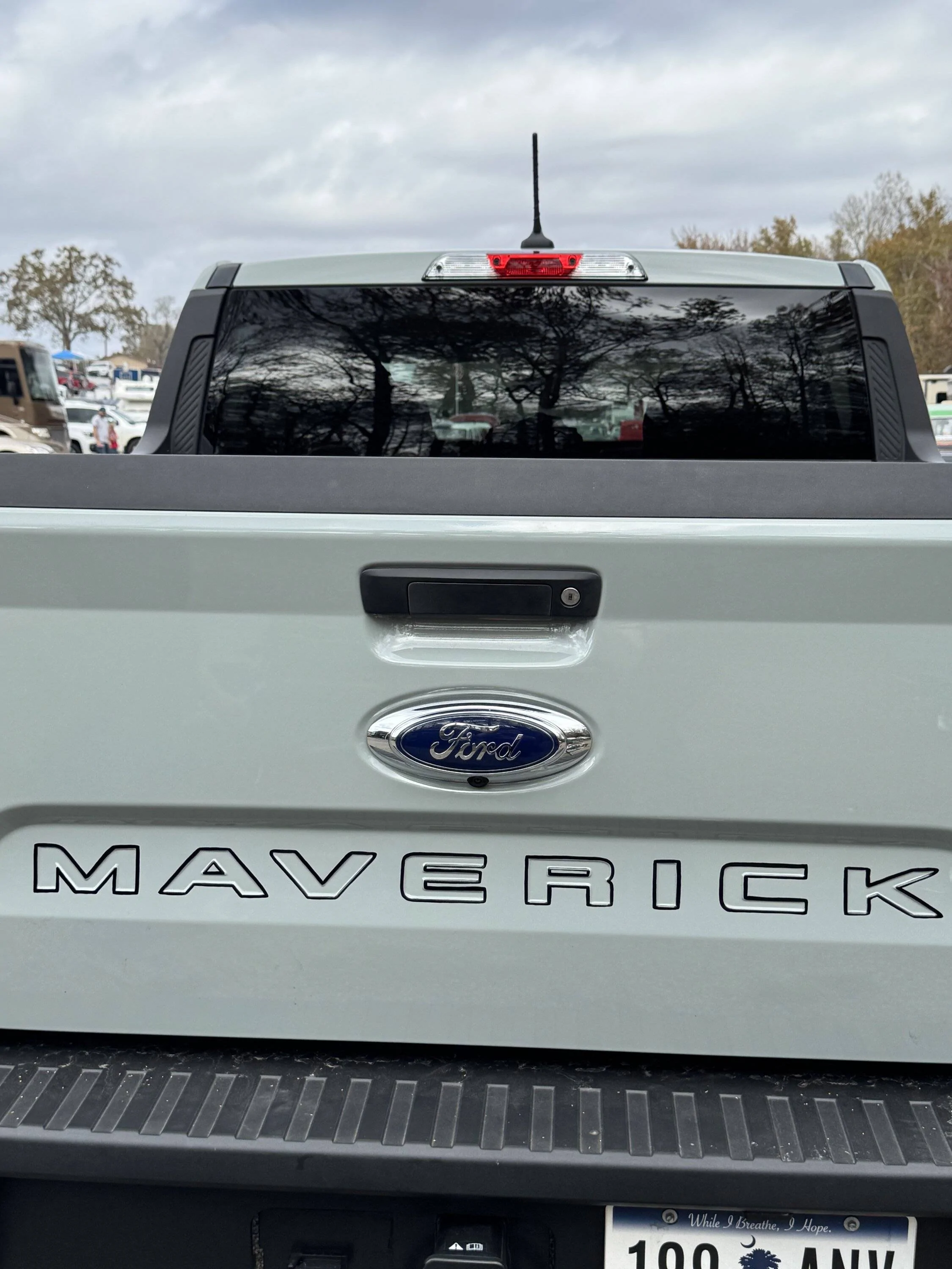 Ford Maverick Custom pinstriped tailgate IMG_3106