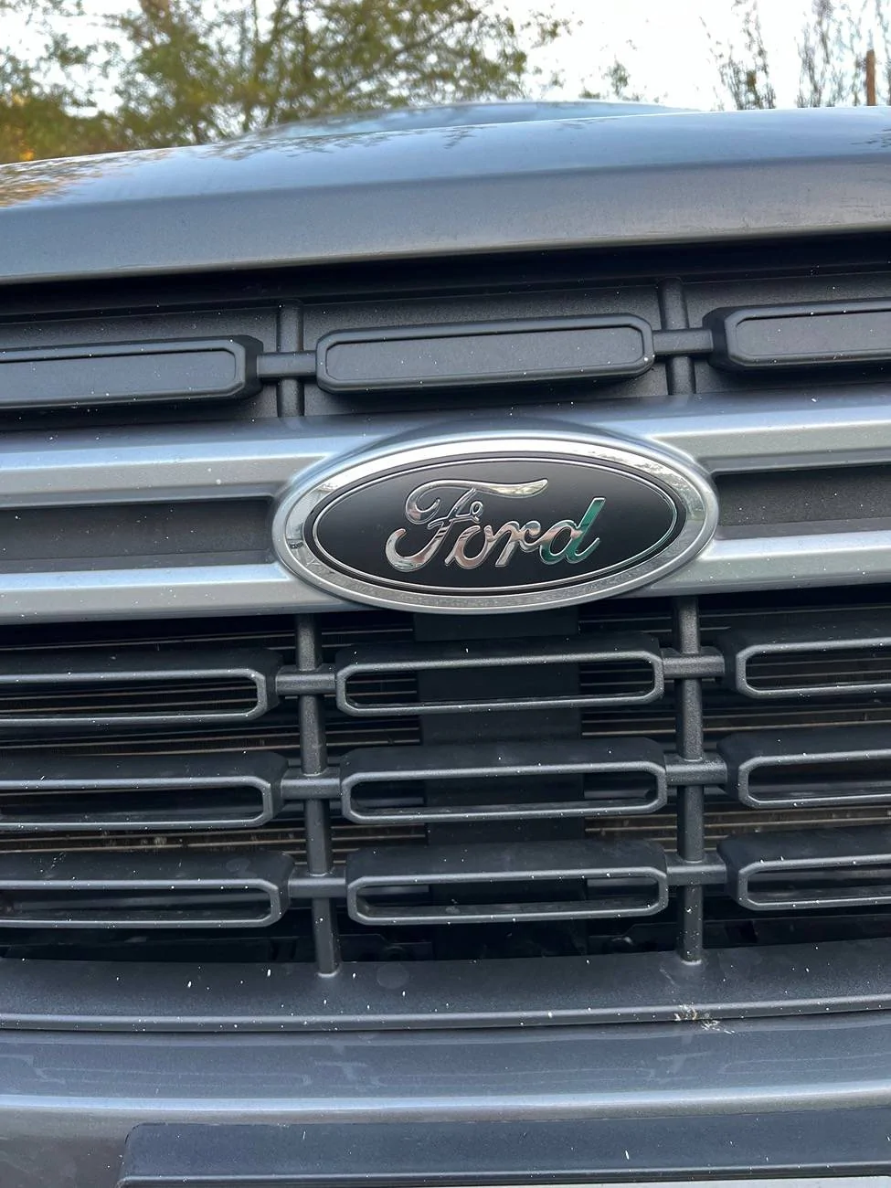 Ford Maverick Plasti Dipped My Badges! IMG_8665