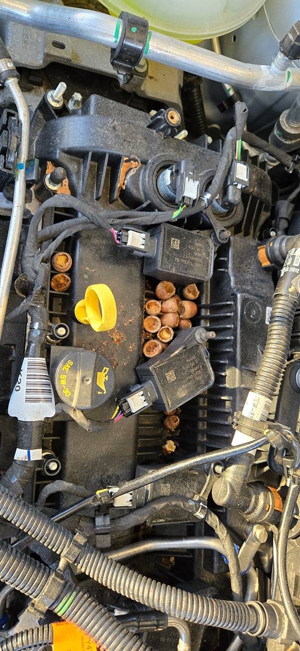 Ford Maverick Storing My Maverick - any tips besides battery tender? 20241226_164442