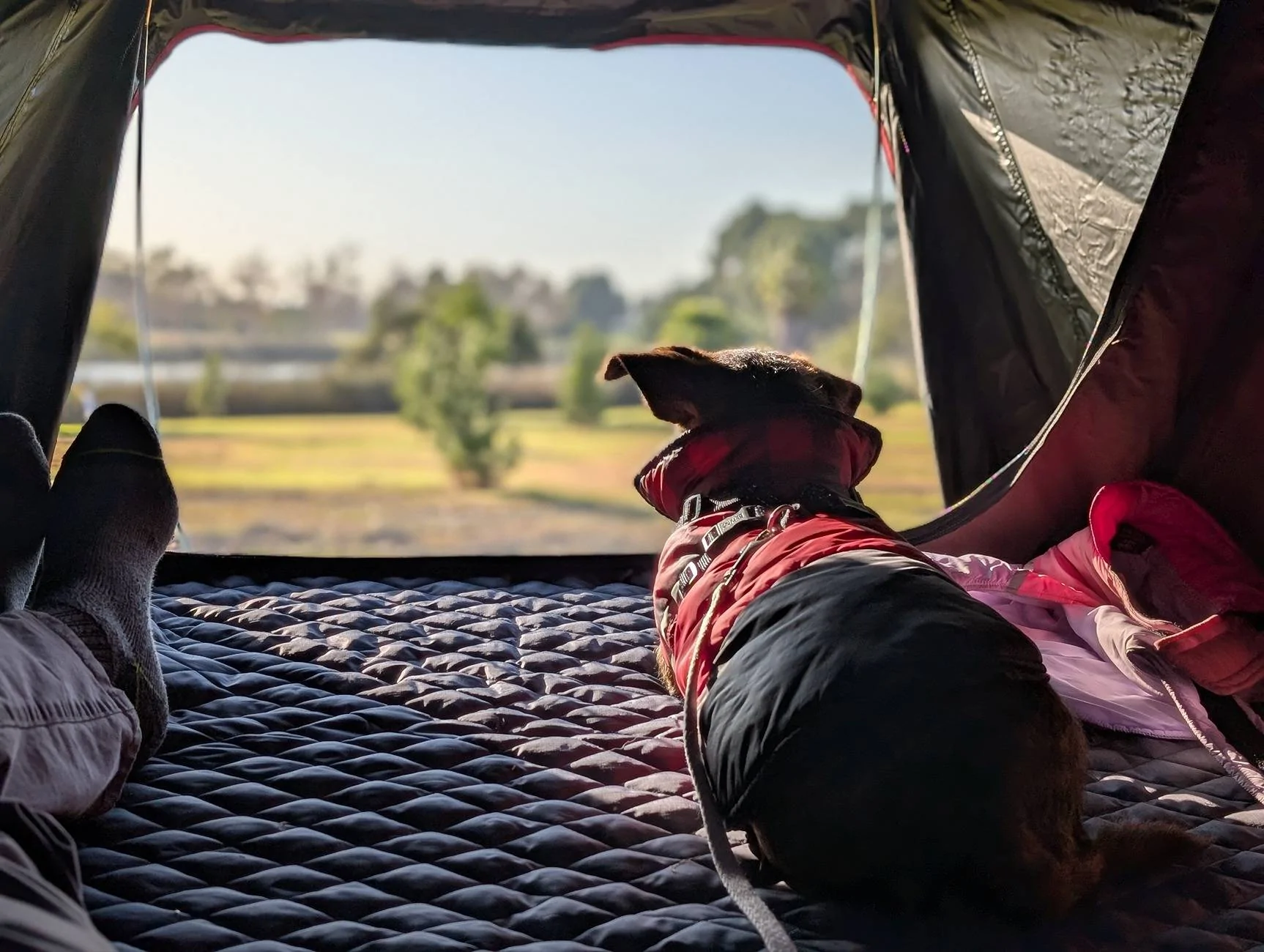 Ford Maverick Camping adventures! (Camping with My Ford Maverick Hybrid – Perfect Setup) PXL_20241217_224835237.PORTRAIT