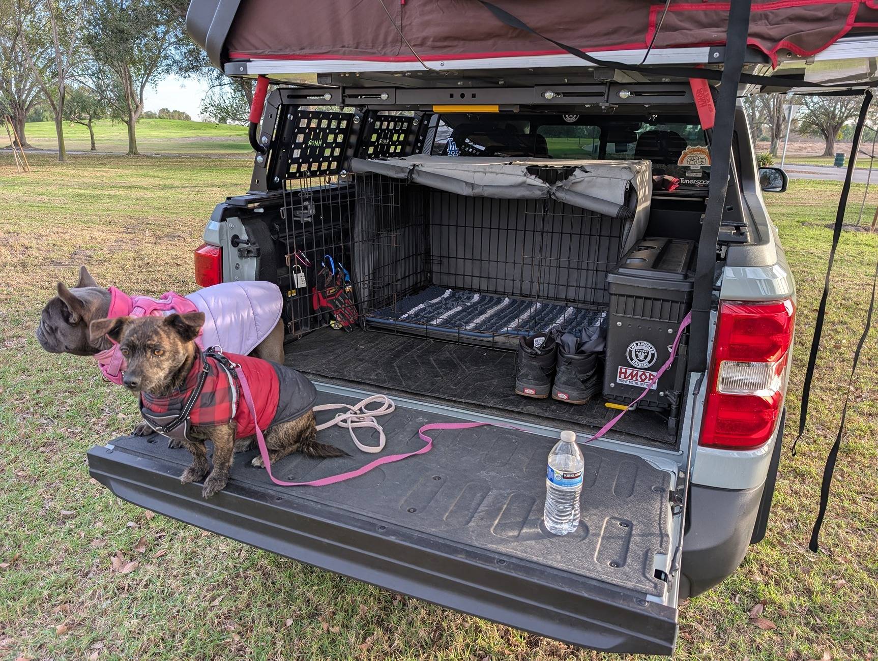 Ford Maverick Camping adventures! (Camping with My Ford Maverick Hybrid – Perfect Setup) PXL_20241216_233657944