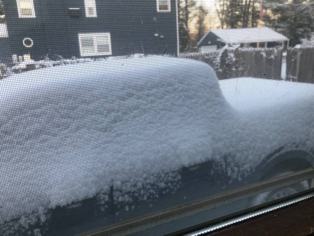 Ford Maverick Winter pics snow25