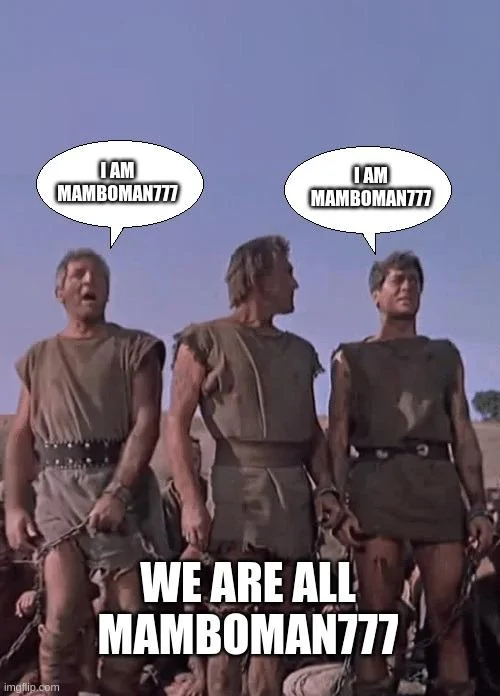 Ford Maverick Maverick Memes -  fun diversion while we wait [ ** NO POLITICS ** ] 5vpxu5