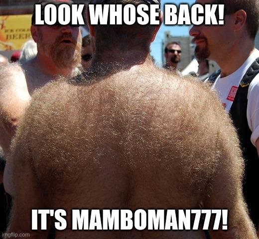 Ford Maverick Maverick Memes -  fun diversion while we wait [ ** NO POLITICS ** ] 5vqmb2