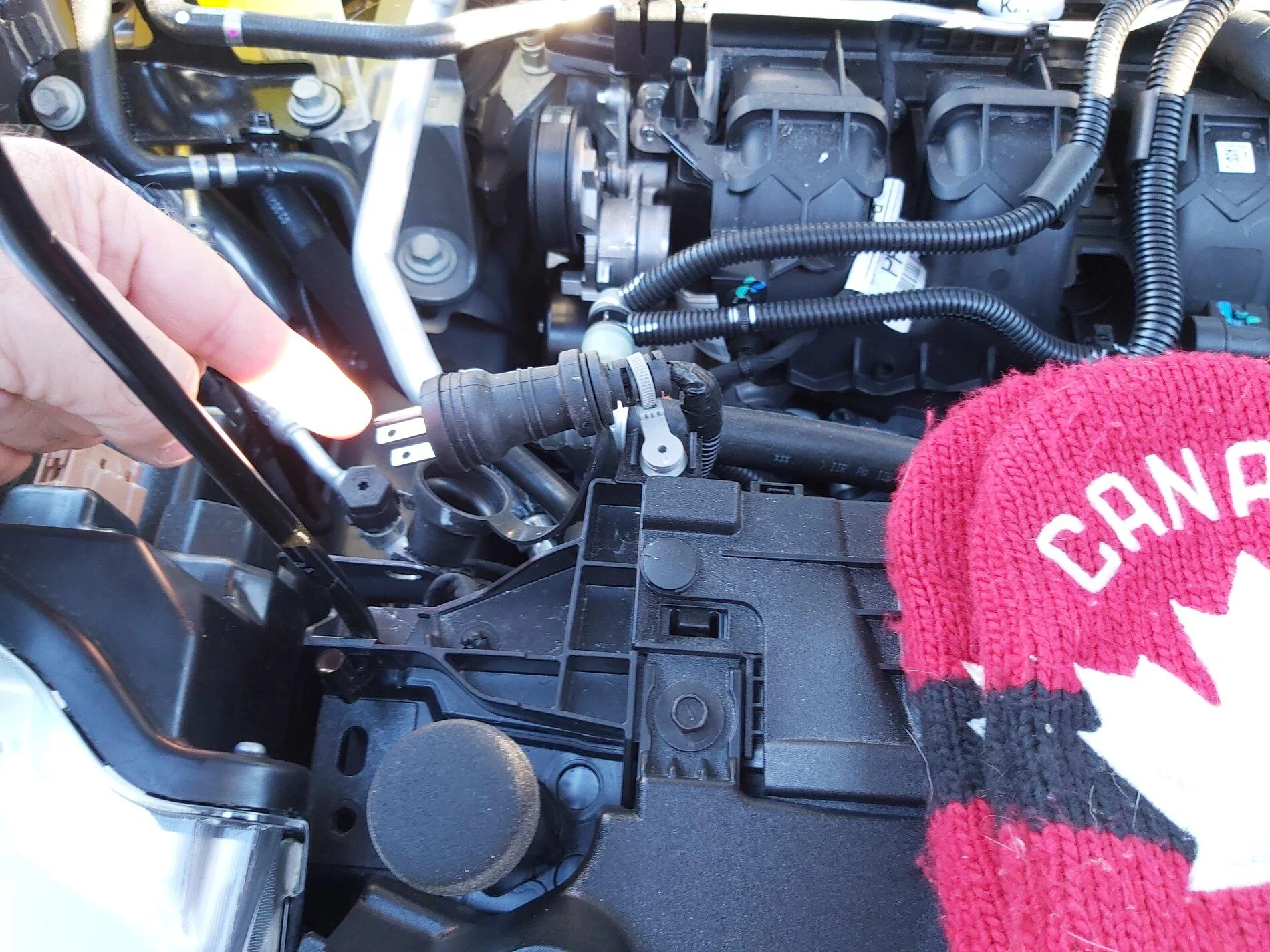 Ford Maverick Winter suitability 20211125_142240