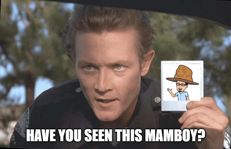 Ford Maverick Maverick Memes -  fun diversion while we wait [ ** NO POLITICS ** ] download (8)