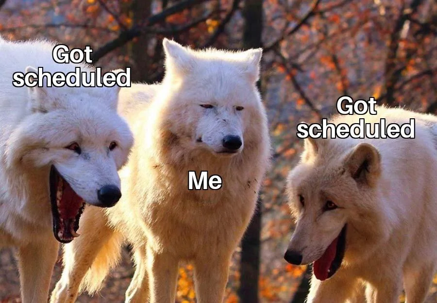 Ford Maverick Maverick Memes -  fun diversion while we wait [ ** NO POLITICS ** ] Laughing Wolves 29112021062311